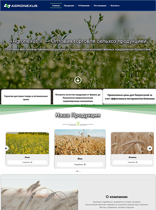 Корпоративный сайт Agronexus.kz preview